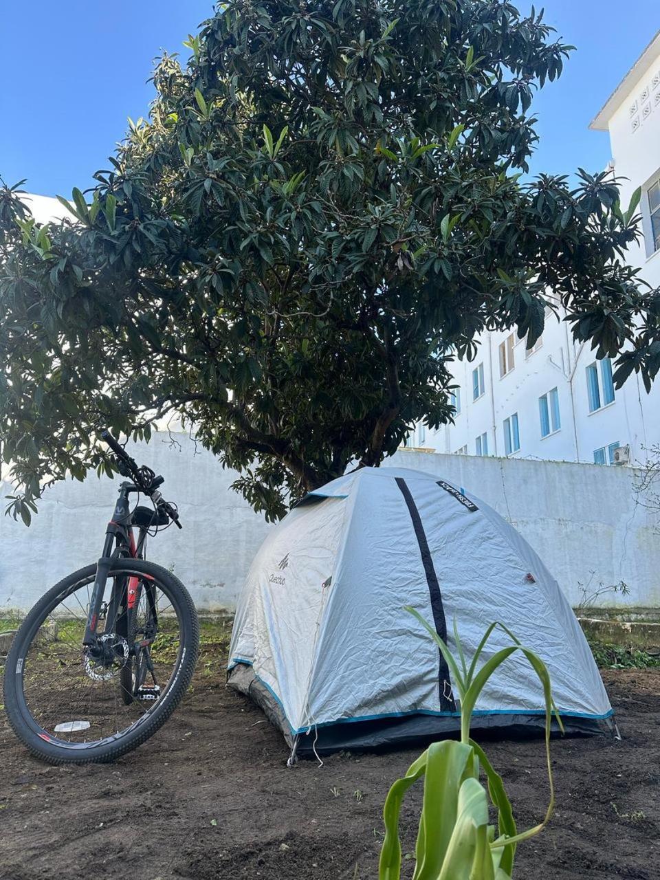 Nomads Hostel Tunisia Extérieur photo